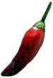 PepperShop Pfefferschote rot
